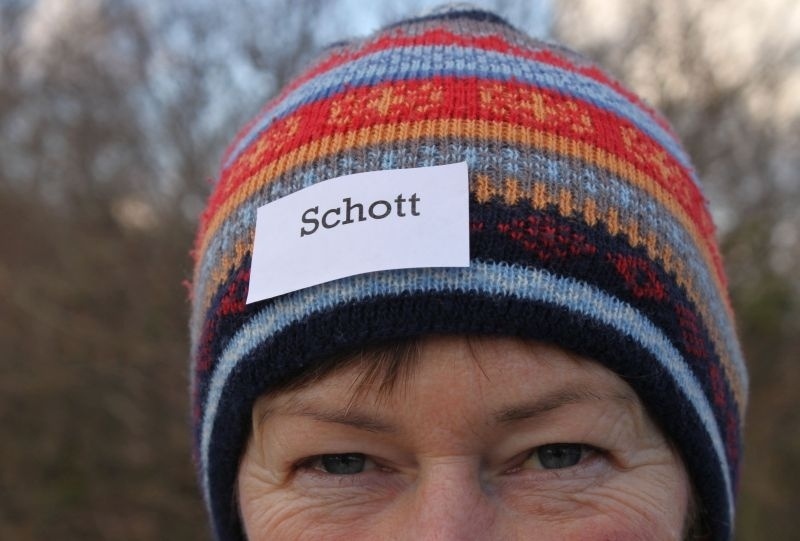 2015 Bosseltour