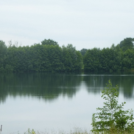 Größeres Bild ansehen
