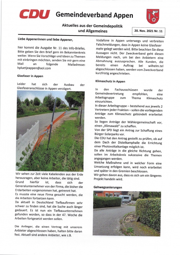 Info-Brief  November 2021